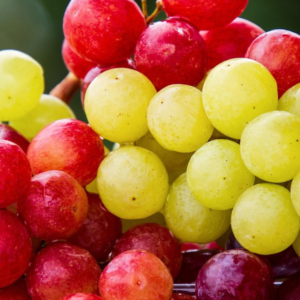 Grapes